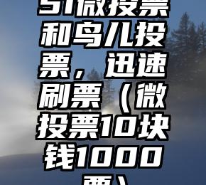 简单的来说下微信投票人工怎么刷票（微信纯人工投票）