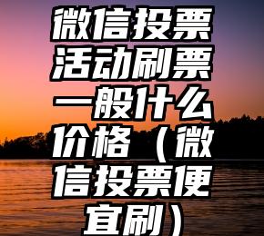 简单的来说下微信投票人工怎么刷票（微信纯人工投票）