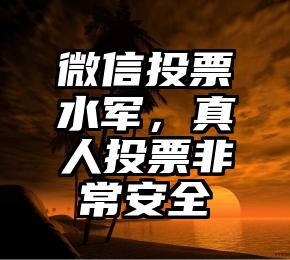 简单的来说下微信投票人工怎么刷票（微信纯人工投票）