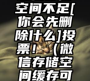 简单的来说下微信投票人工怎么刷票（微信纯人工投票）