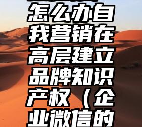 简单的来说下微信投票人工怎么刷票（微信纯人工投票）