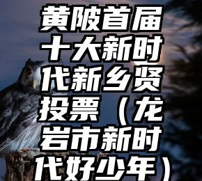 简单的来说下微信投票人工怎么刷票（微信纯人工投票）