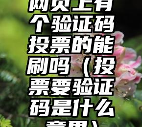 简单的来说下微信投票人工怎么刷票（微信纯人工投票）