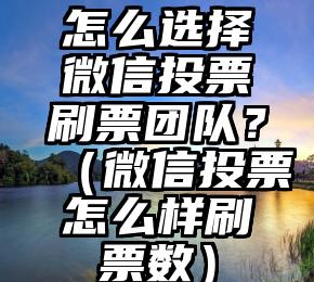简单的来说下微信投票人工怎么刷票（微信纯人工投票）