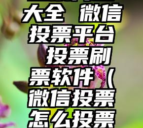 简单的来说下微信投票人工怎么刷票(微信纯人工投票)