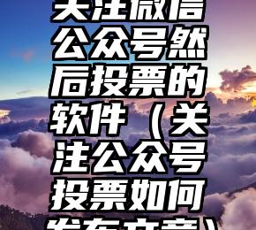 简单的来说下微信投票人工怎么刷票（微信纯人工投票）