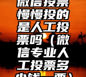 简单的来说下微信投票人工怎么刷票（微信纯人工投票）