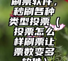 简单的来说下微信投票人工怎么刷票（微信纯人工投票）