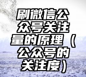 简单的来说下微信投票人工怎么刷票（微信纯人工投票）