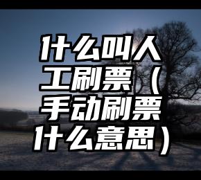简单的来说下微信投票人工怎么刷票（微信纯人工投票）