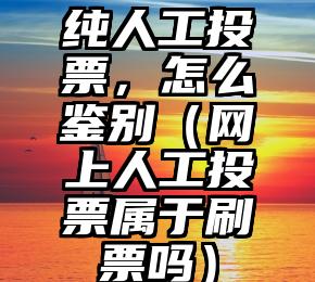 简单的来说下微信投票人工怎么刷票（微信纯人工投票）