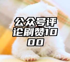 简单的来说下微信投票人工怎么刷票（微信纯人工投票）