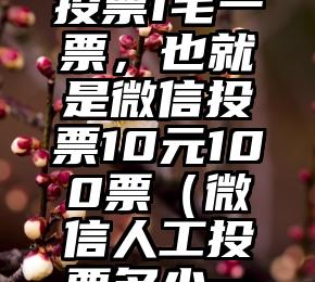 简单的来说下微信投票人工怎么刷票（微信纯人工投票）