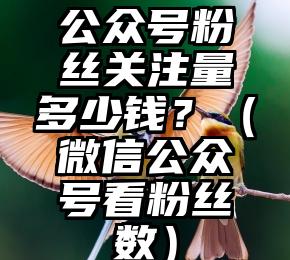 简单的来说下微信投票人工怎么刷票（微信纯人工投票）