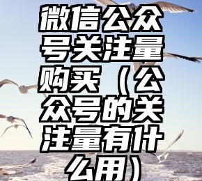 简单的来说下微信投票人工怎么刷票（微信纯人工投票）