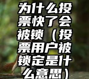 简单的来说下微信投票人工怎么刷票（微信纯人工投票）