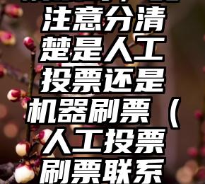 简单的来说下微信投票人工怎么刷票（微信纯人工投票）