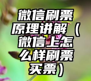 简单的来说下微信投票人工怎么刷票（微信纯人工投票）