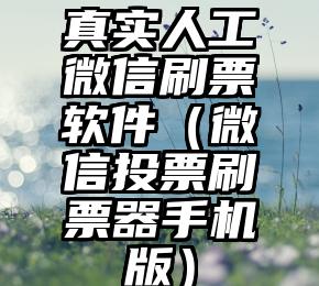 简单的来说下微信投票人工怎么刷票（微信纯人工投票）