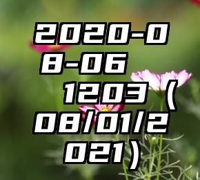简单的来说下微信投票人工怎么刷票（微信纯人工投票）
