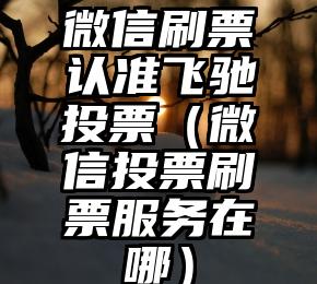 简单的来说下微信投票人工怎么刷票（微信纯人工投票）