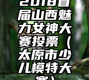 简单的来说下微信投票人工怎么刷票（微信纯人工投票）