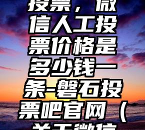 简单的来说下微信投票人工怎么刷票（微信纯人工投票）