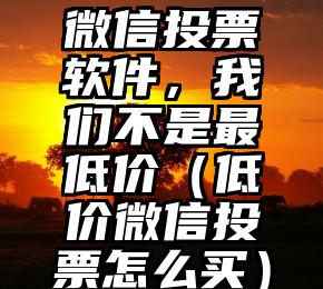 简单的来说下微信投票人工怎么刷票（微信纯人工投票）
