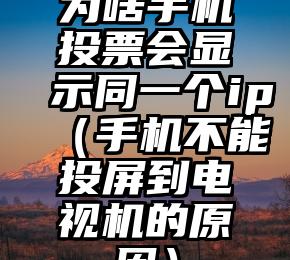 简单的来说下微信投票人工怎么刷票（微信纯人工投票）