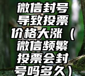 简单的来说下微信投票人工怎么刷票（微信纯人工投票）