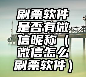 简单的来说下微信投票人工怎么刷票（微信纯人工投票）