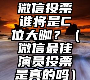 简单的来说下微信投票人工怎么刷票（微信纯人工投票）