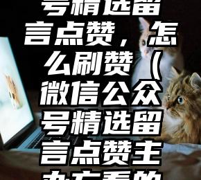 简单的来说下微信投票人工怎么刷票（微信纯人工投票）