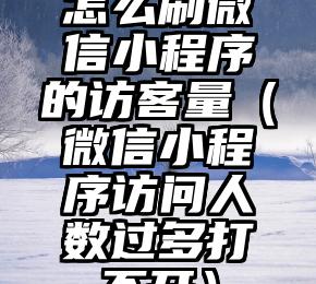 简单的来说下微信投票人工怎么刷票（微信纯人工投票）