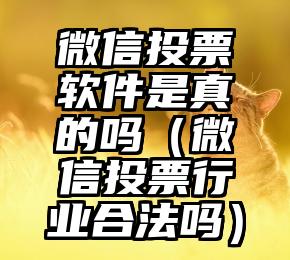 简单的来说下微信投票人工怎么刷票（微信纯人工投票）