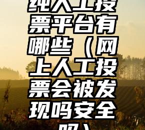 简单的来说下微信投票人工怎么刷票（微信纯人工投票）