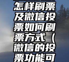 简单的来说下微信投票人工怎么刷票（微信纯人工投票）