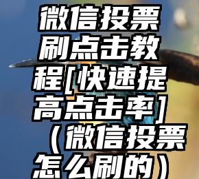 简单的来说下微信投票人工怎么刷票（微信纯人工投票）