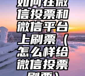 简单的来说下微信投票人工怎么刷票（微信纯人工投票）