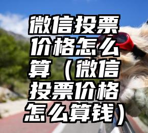 简单的来说下微信投票人工怎么刷票（微信纯人工投票）