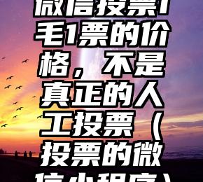 简单的来说下微信投票人工怎么刷票（微信纯人工投票）
