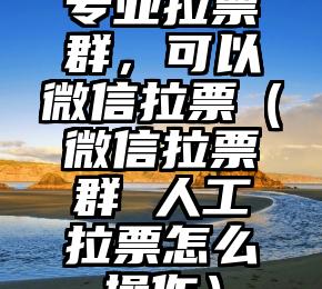 简单的来说下微信投票人工怎么刷票（微信纯人工投票）