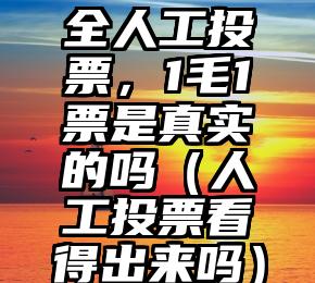 简单的来说下微信投票人工怎么刷票（微信纯人工投票）