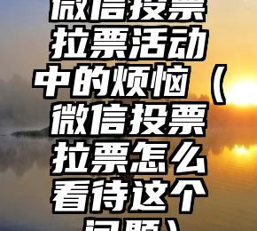 简单的来说下微信投票人工怎么刷票（微信纯人工投票）