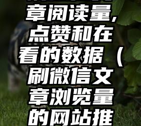 简单的来说下微信投票人工怎么刷票（微信纯人工投票）