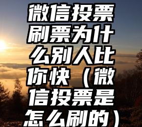 简单的来说下微信投票人工怎么刷票（微信纯人工投票）