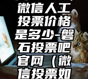 简单的来说下微信投票人工怎么刷票（微信纯人工投票）