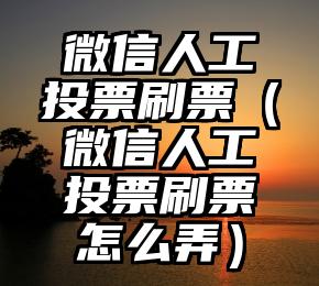 简单的来说下微信投票人工怎么刷票（微信纯人工投票）
