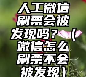 简单的来说下微信投票人工怎么刷票（微信纯人工投票）