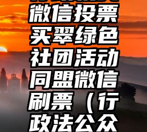 简单的来说下微信投票人工怎么刷票（微信纯人工投票）